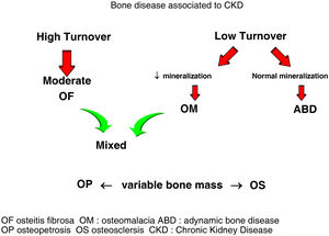 Renal Osteodystrophy.