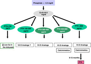 Algorithm for treatment in dialysis V.