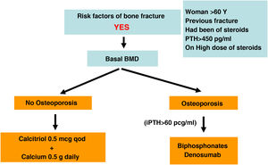 Kidney transplant. Orientative treatment.