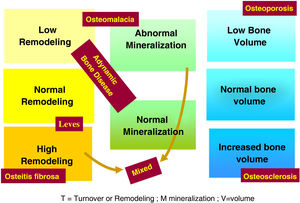 Classification of Renal Osteodystrophy. (Turnover/Mineralization/Volume).