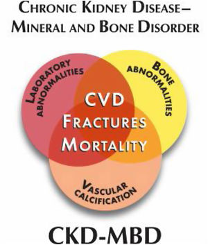The concept of CKD MBD.