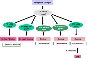 Algorithm for treatment in dialysis II.