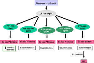 Algorithm for treatment in dialysis III.