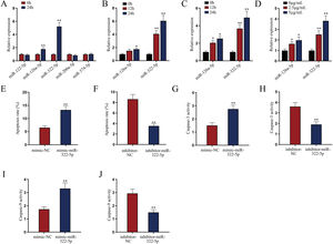 miR-322-5p promotes the apoptosis of AKI renal tubular epithelial cells. (A) Relative expression levels of putative miRNAs in LPS-treated mouse renal tubular epithelial cell model (5μg/mL; 24h) were detected via qRT-PCR (Student