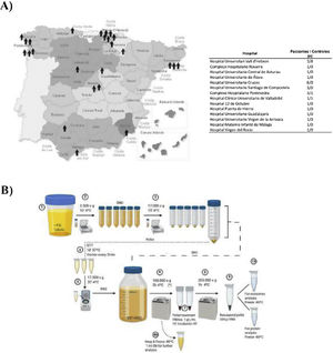 Sample collection and uEV isolation. (A) Map of Spain with the geographical distribution of the centers that participated in this study. (B) Graphic representation of the protocol for extracting uEV from urine of patients or controls. uEV: urinary exosome-like vesicles.