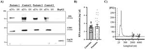 RNA and protein obtained from uEVs. (A) Alix and CD81 (exosome markers) levels were analyzed by western blot in patient and control samples. HepG2 cell line lysate was used as a positive control for the detection of Grp78, a reticulum marker. (B) RNA concentration (ng/μL) in samples from controls (black circles) and patients (gray circles). Each point represents a single subject. The graph also shows the mean ± SEM. (C) Representative electropherogram showing good integrity of RNA obtained from uEVs. Peaks corresponding to 18S or 28S ribosomal RNA are marked on the graph. FU: arbitrary fluorescence units; nt: nucleotides.