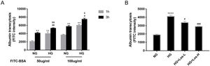 High glucose increased albumin transcytosis across hrGECs and losartan inhibited this process. (A) Concentration-dependent transcytosis of FITC-albumin at 1 and 3h in NG (5.5mmol/L d-glucose) condition and HG (40mmol/L d-glucose) condition. **P<0.01 vs. 1h NG 50μg/ml group, #P<0.05 vs. 3h NG 50μg/ml or NG 100μg/ml, &P<0.05 vs. 1h HG 50μg/ml or HG 100μg/ml group. (B) Transcytosis of FITC-albumin in hrGECs incubated with NG, HG, HG+Los-L(1μmol/L), and HG+Los-H(10μmol/L). ****P<0.0001 vs. NG group, #P<0.05 or ###P<0.001 vs. HG group. Data are presented as means±SEM.