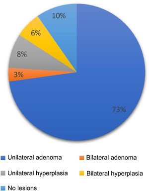 Distribution of the different subtypes of primary hyperaldosteronism according to computed tomography.
