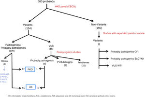 Variants found in patients studied with suspected HKD.
