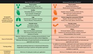 Proposed framework for standardized point of care ultrasound (PoCUS) certification in Nephrology. Sonographic applications are divided into basic and advanced depending on the complexity of image acquisition and interpretation. LV, left ventricle; IVC, inferior vena cava; IJV, internal jugular vein; RAP, right atrial pressure; VExUS, venous excess ultrasound. *Examples are not exhaustive. #Optional applications depending on the local practice patterns. +Both basic and advanced training require an evaluation of theoretical and practical knowledge.