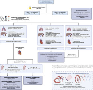 New algorithm for the diagnosis of hyponatremia.