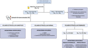 Classic algorithm for the diagnosis of hypotonic hyponatremia.