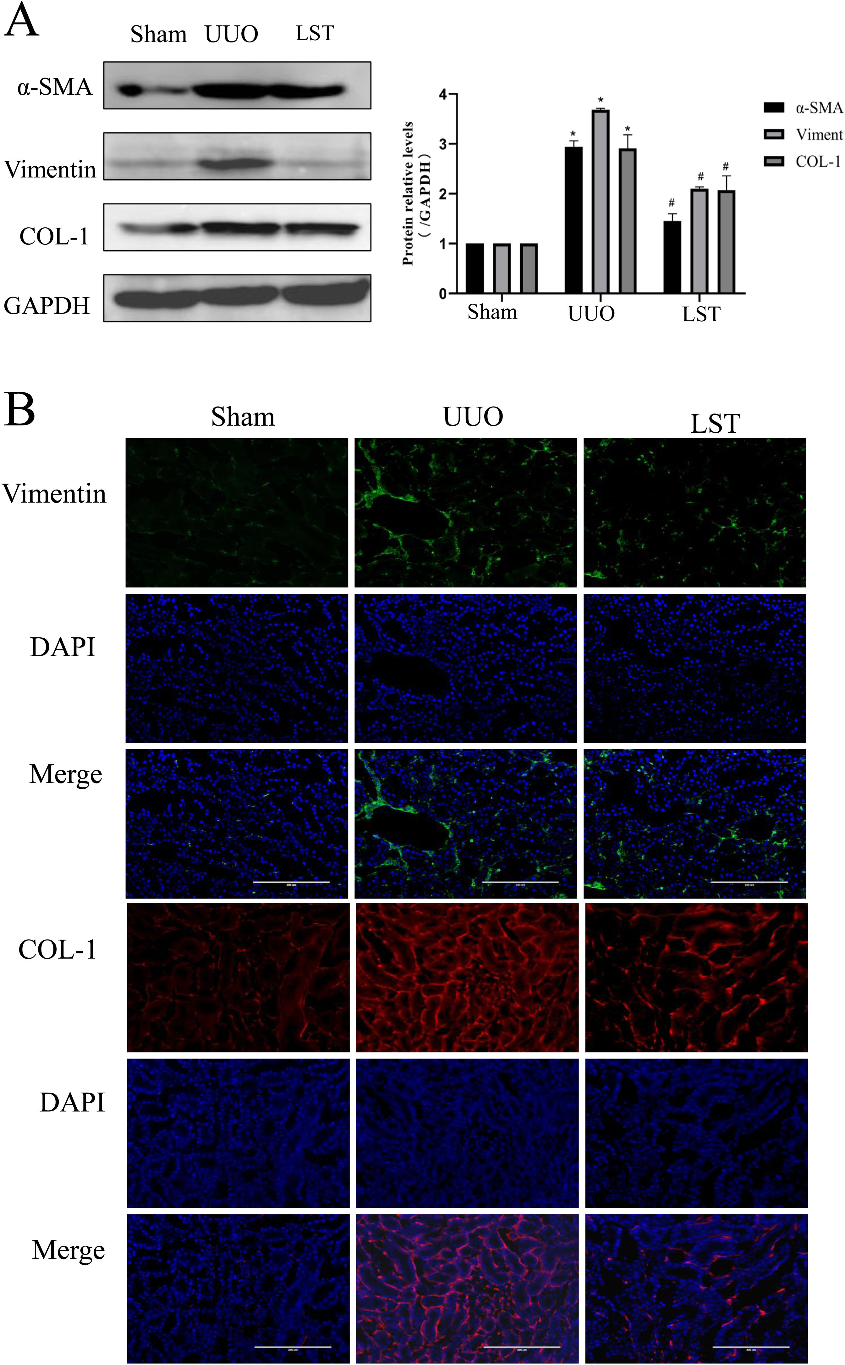 fig0010