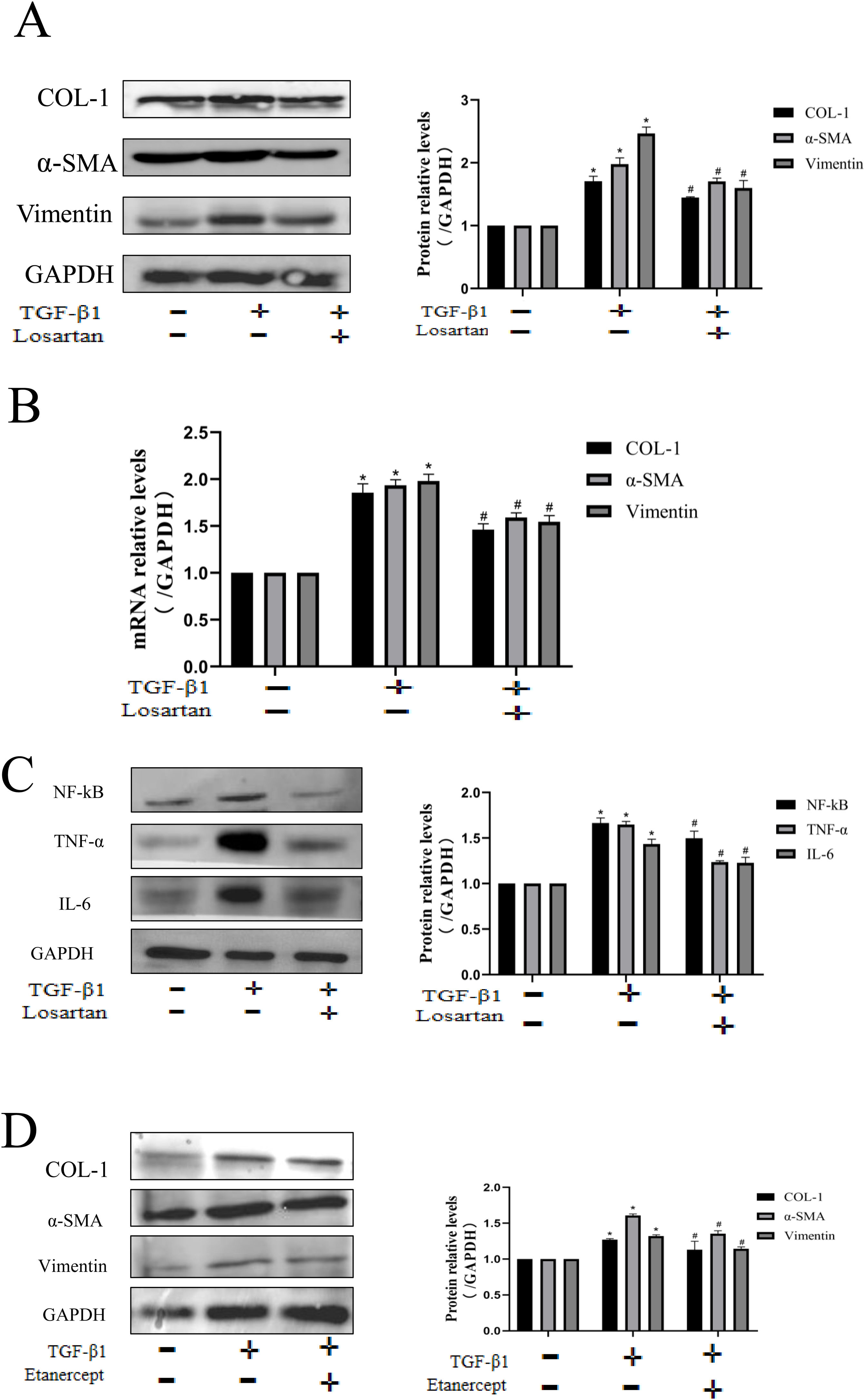 fig0025