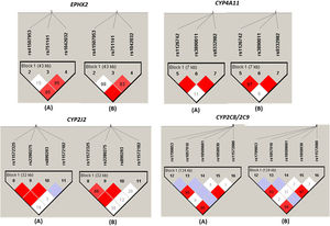 Linkage disequilibrium plot of CYPs and EPHX2 variants alleles in normotensive subjects (n=87) and hypertensive patients (n=151). Linkage disequilibrium (LD) is displayed as pairwise D′ values. Shading represents the magnitude and significance of pairwise LD, with a red-to-white gradient reflecting higher-to-lower LD values. Dark red diamond without a number corresponds to D′ values of 1.0. (A) and (B) indicate the LD analysis of normotensive subjects (n=87) and hypertensive patients (n=151), respectively.