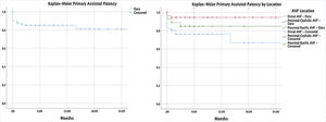 Kaplan–Meier curves of primary assisted patency and primary assisted patency by location.