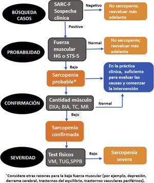 Modified from Cruz-Jentoft et al.15 AMS: appendicular muscle mass; HG: dynamometric grip strength; SARC-F: Sarcopenia Screening Survey; SPPB: Short Physical Performance Battery; STS-5: sit to stand to sit 5 test; TUG: The Timed-Up and Go test; VM: walking speed.