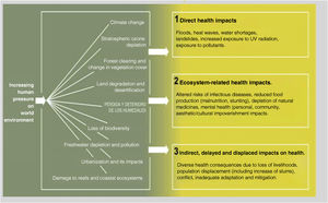Environmental changes and ecosystem deterioration. Impact on health. Ecosystems and human well-being: health synthesis.9