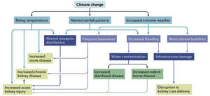 The relationship between climate change and renal diseases.22