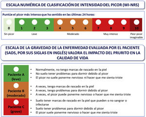 Suggested assessment scales for measuring the severity of itching.14,15