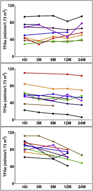 Evolution of the estimated glomerular filtration rate (eGFR) of subjects who had serum creatinine measurement taken at hospital discharge and at least one control during post-discharge follow-up (n = 27). HD: hospital discharge; M: months. There are 3 figures with 9 patients in each for ease of visualization, ordered according to the magnitude of annual change in eGFR.