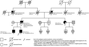 Family pedigree. sCr: serum creatinine; y.o.: years old; CKD defined as eGFR <60ml/min/1.73m2 (using the CKD-Epidemiology collaboration equation, version 2009). Deceased subject III:2 was an obliate carrier of both the UMOD exon 11 deletion and the SLC8A1 c.16C>T p.(Arg6*) allele.