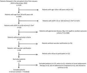 Flow chart showing the inclusion of the participants in the study. eGFR: estimated glomerular filtration rate, Mg: magnesium. (*) Exclusion criteria: calciphylaxis, immediate need for renal replacement therapy, parathyroidectomy, treatment with bisphosphonates or denosumab, HIV infection, hepatitis B or C, chronic liver disease, systemic inflammatory disease, recombinant or immunosuppressive therapies, or previous history of cancer in the last 5 years were excluded.