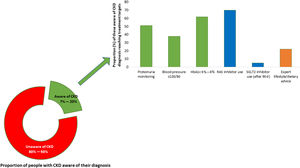 Proportion of people with chronic kidney disease (CKD) who are aware of their diagnosis and are receiving appropriate guideline-recommended care. The proportion of people with CKD who are aware of their diagnosis varies globally, with rates ranging from 7% to 20%. As CKD stage worsens, knowledge of CKD increases. Among those with a diagnosis of CKD, the average proportion of patients receiving appropriate medication to delay CKD progression (renin–angiotensin–aldosterone system [RAS] inhibitors and sodium-glucose cotransporter 2 [SGLT2] inhibitors) is suboptimal as are those reaching target blood pressure, diabetes control, and nutrition advice. The treatment targets depicted in the figure follow the Kidney Disease: Improving Global Outcomes (KDIGO) 2012 guidelines.15 Most data come from higher-resource settings; these proportions are likely lower in lower-resource settings. Data are shown for proportions of patients reaching blood pressure of <130/80mm Hg. Data compiled from previous studies.15–20 HbA1c, hemoglobin A1c.