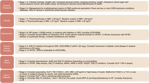 Management of LDL cholesterol in the different stages of CKM syndrome. CKD: chronic kidney disease; DM-2: type 2 diabetes; eGFR: estimated glomerular filtration rate; LDLc: LDL cholesterol; uACR: urine albumin-creatinine ratio. Modified from Ndumele et al.14