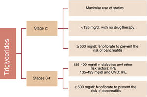 Clinical management of the remaining comorbidities in the different stages of CKM syndrome. ACEI: angiotensin-converting enzyme inhibitors; ARBs: angiotensin II receptor blockers; ARNI: angiotensin receptor/neprilysin inhibitor; BMI: body mass index; BP: blood pressure; CKD: chronic kidney disease; CKM: cardiovascular-kidney-metabolic; DPP-4i: dipeptidyl peptidase 4 inhibitors; eGFR: estimated glomerular filtration rate; GLP-1 RA: GLP-1 receptor agonists; HbA1c: glycosylated haemoglobin; HTN: arterial hypertension; HF: heart failure; HFpEF: heart failure with preserved ejection fraction; HFrEF: heart failure with reduced ejection fraction; MRAs: mineralocorticoid receptor antagonists; OADs: oral antidiabetics; SGLT-2 inhibitors: sodium-glucose cotransporter type 2 inhibitors. Modified from Ndumele et al.14