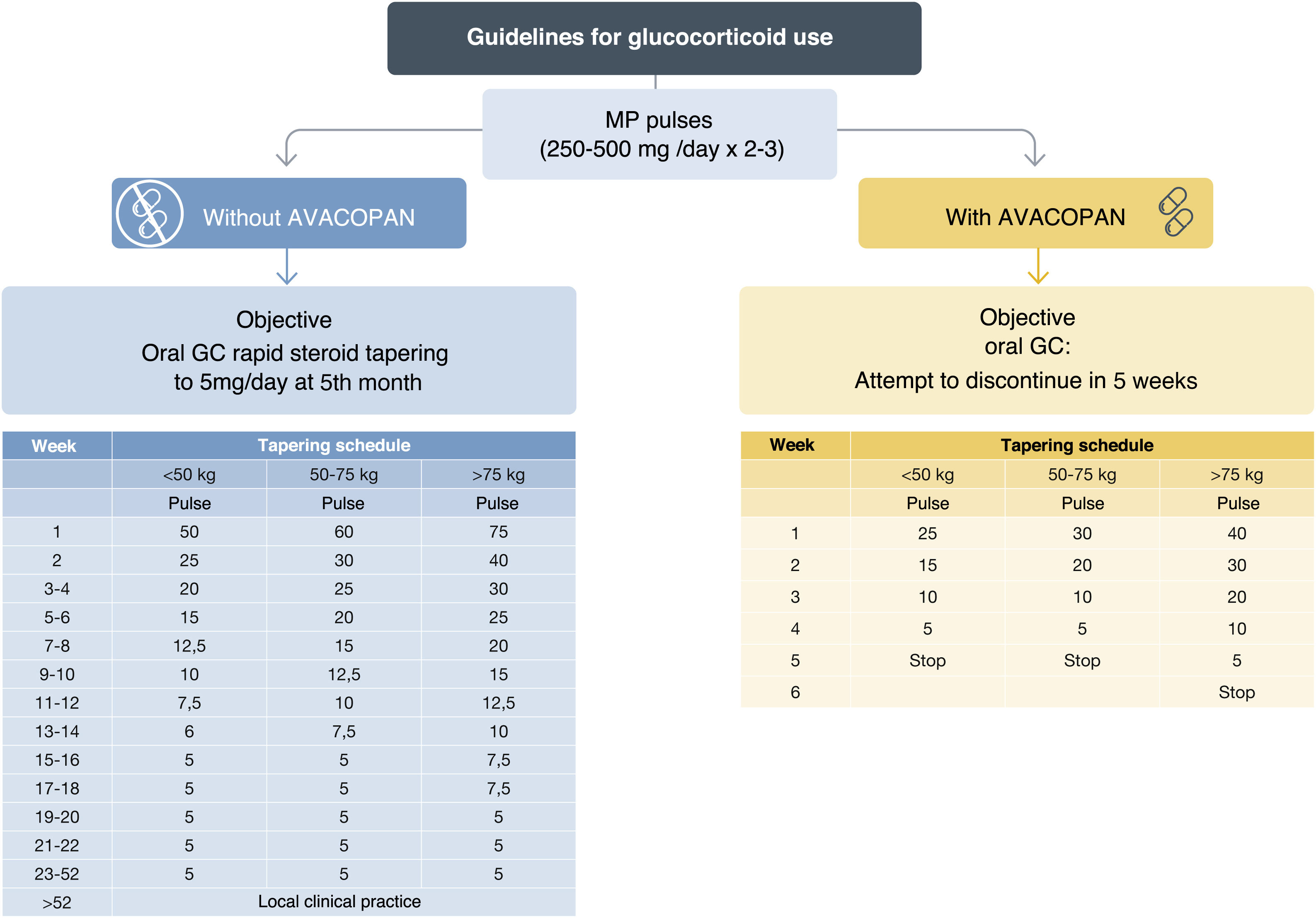 Recommendations for the diagnosis and treatment of anti-neutrophil  cytoplasmic autoantibody associated vasculitis | Nefrología