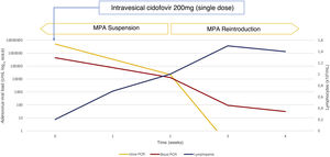 Evolution of blood (red line), urinary (yellow line) and lymphopenia (blue line) viral load after intravesical cidofovir administration. Viral load is represented on a logarithmic scale (left).