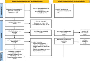 PRISMA flowchart: Diagram representing the flow of the search and selection of the publications included in the review.