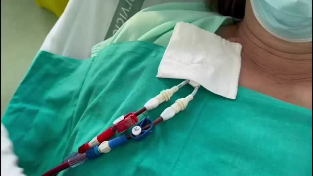https://ars.els-cdn.com/content/image/1-s2.0-S2013251425000331-mmc1.mp4