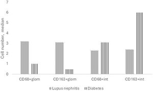 Median number of macrophages in patients with pure diabetic nephropathy versus lupus nephritis. Patients with diabetic nephropathy had greater CD163+ cells in the interstitium (6 versus 2.4, p<0.001), while patients with lupus nephritis had greater CD68+ (3.2 versus 1, p=0.002) and CD163+ (3.1 versus 0.5, p=0.016) cells in the glomerular area.