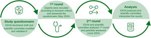 Methodology of Delphi study adapted in 2 rounds.