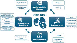 Risk factors for CKD.