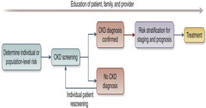 Conceptual framework of a CKD testing, risk stratification, and treatment program, see Ref. 30.