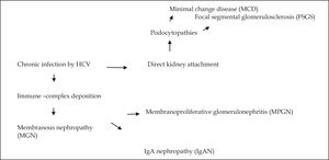 Glomerular manifestations of chronic HCV infection.