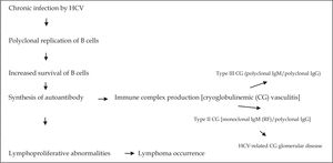Development of HCV-related CG vasculitis and glomerular disease.
