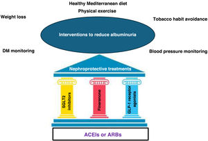 Global approach to reduce albuminuria. ARBs: angiotensin II receptor antagonists; GLP-1 receptor agonists: glucagon-like peptide receptor type 1 agonists; DM: diabetes mellitus; ACEIs: angiotensin-converting enzyme inhibitors; SGLT2 inhibitors: sodium-glucose cotransporter 2 inhibitors. Source: figure made with data from the American Diabetes Association Professional Practice Committee11 and from Montero et al.12
