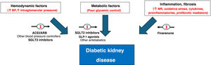 Etiopathogenesis of CKD in T2DM and therapeutic approach. ARBs: angiotensin II receptor antagonists; GLP-1: glucagon-like peptide type 1; ACEI: angiotensin-converting enzyme inhibitors; SGLT2 inhibitors: sodium-glucose cotransporter 2 inhibitors; BP: blood pressure; MR: mineralocorticoid receptor. Source: figure made with data from the American Diabetes Association Professional Practice Committee,11 de Montero et al.,12 Alicic et al.,43 Zelniker and Braunwald44 and Heerspink et al.45