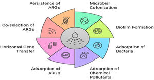 The role of microplastics in antibiotic resistance.