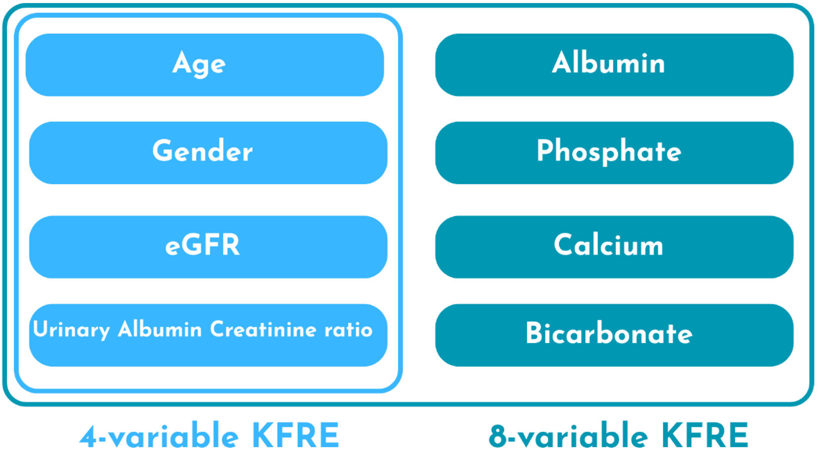 Enhancing chronic kidney disease care through risk prediction: A review ...