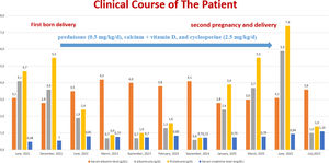 Clinical course of the patient.