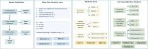 ANCA-associated vasculitis kidney histological scores.