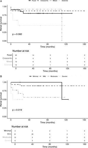 Kaplan–Meier renal survival curves of Berden histological classification (A), Mayo Clinic Chronicity Score (B), Renal Risk Score (C) and Improved Kidney Risk Score (D).