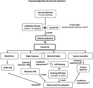 Proposed management approach for exit-site infections in peritoneal dialysis based on expert opinion. TI: tunnel infection; US: ultrasonography; ATB: antibiotic; IV: intravenous; w: weeks. *2mm: distance between the catheter wall and the surrounding tissues. **Improvement: collection reduction <30%; worsening signs of infection.