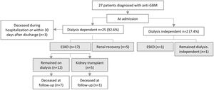 Flowchart of the anti-GBM patient