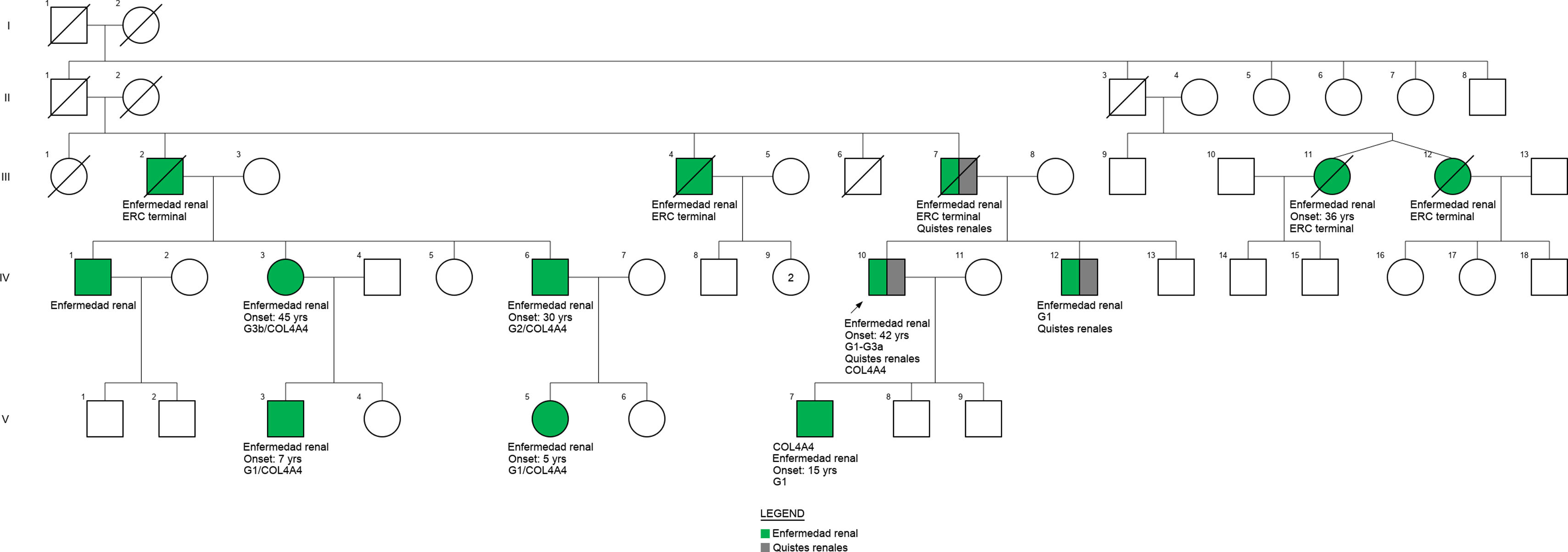fig0005